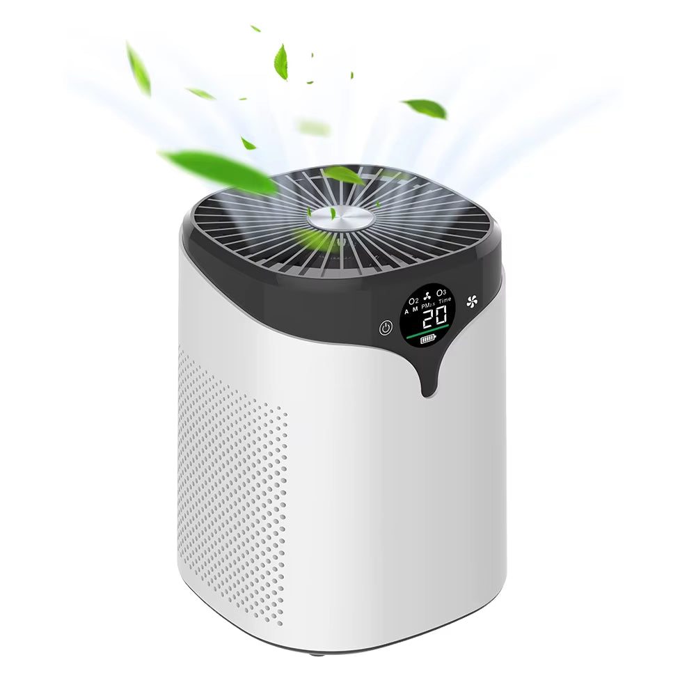 Air Purifier Remove Smoke Odor Dust Negative Ion Ozone Air Cleaner PM 2.5 Air Purifier for Home Office Dorm Small Air Freshener